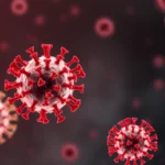 New Virus Outbreak in China: What You Need to Know About HMPV